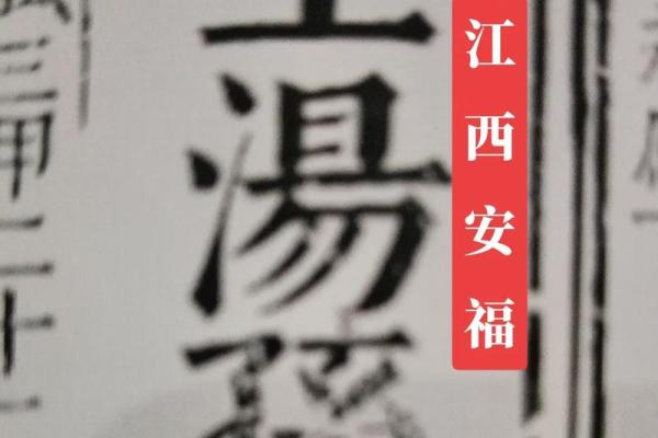 探究“李知府命”的深刻含义：从角色到象征的全景解析