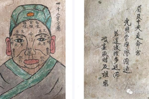 探索九星照命：如何理解命宫与星辰的关系