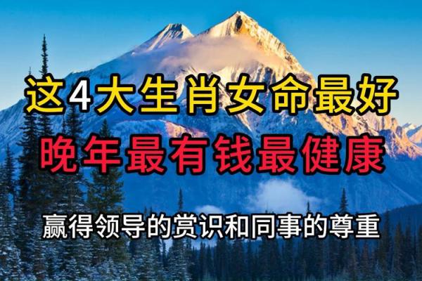 命里牲畜兴旺：揭示未来生活中的美好与机遇