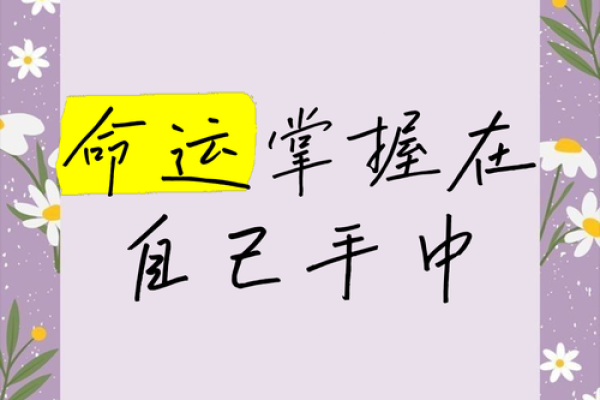 命运的手掌：如何在生活中勇敢追求梦想与幸福
