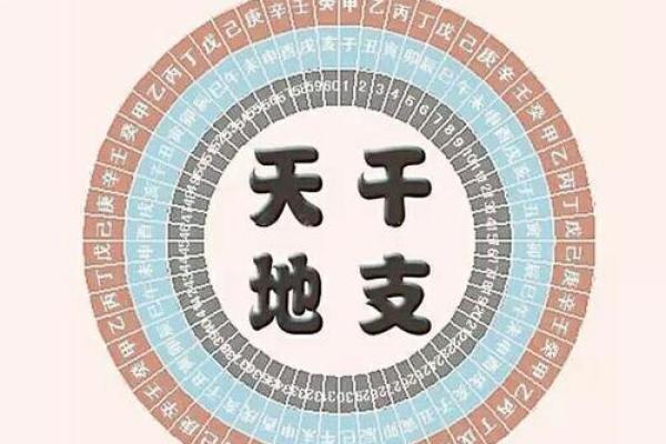 木命与土命的最佳合伙搭档，携手共创辉煌人生！