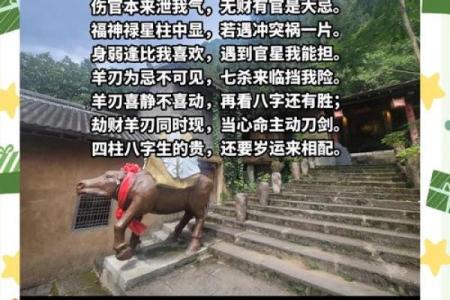探秘命局中的财星：财富与命运的奇妙关系