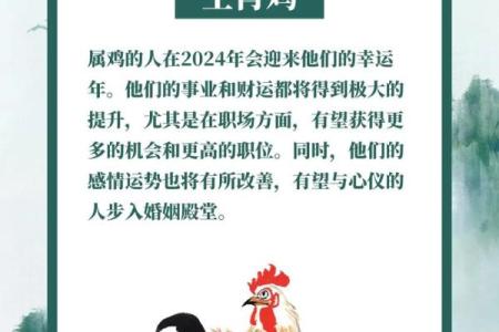 九零年代生肖属鸡的神秘命运：五行揭秘奇缘