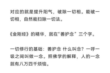 女人的玉叶命：揭示命理中的美丽与智慧之道