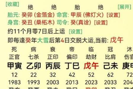 命局缺陷与命运探秘：如何理解个人八字中的不足之处