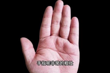 解读连心眉与断掌男人的命运之谜，探寻内心世界与命运之路！