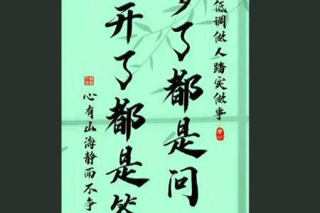 探秘命格丙申,中等命的独特魅力与人生哲学