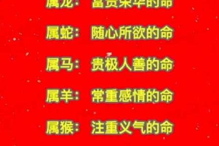 解析命好的女性属相：十二生肖的女性智慧与命运之旅