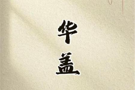 探秘华盖命格：另类命理中的神秘象征与人生启示
