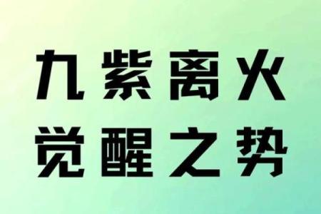 九紫离命：揭示命理中的神秘之光与个人成长之路