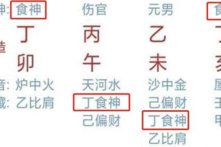男命藏干中伤官的意义与影响探析