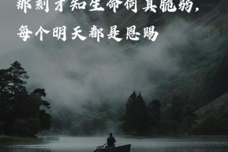 命局印格透伤关，纵观人生的深意与启示