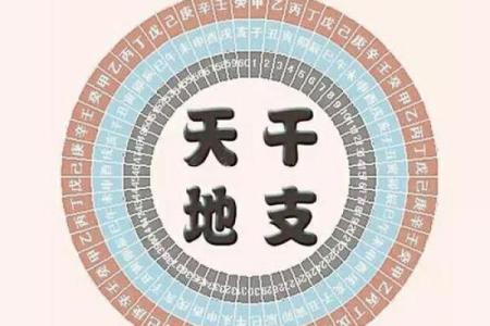 木命与土命的最佳合伙搭档,携手共创辉煌人生!