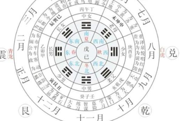 命理中的朱雀：象征与智慧的深邃解读