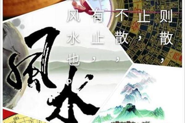 命理中的五朵金花：揭示人生的幸福密码与成功之道
