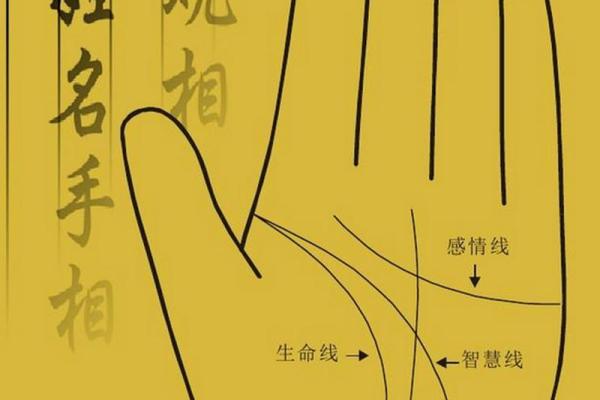 看手相算命：揭示生命密码的神秘艺术