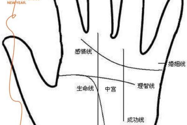 看手相算命：揭示生命密码的神秘艺术