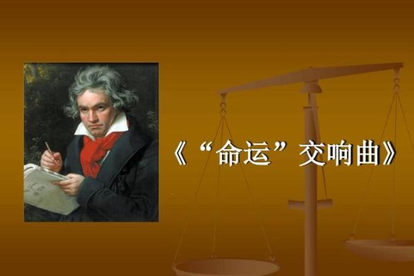 命运的交响曲：在“命”字中寻找生命的真谛与救赎