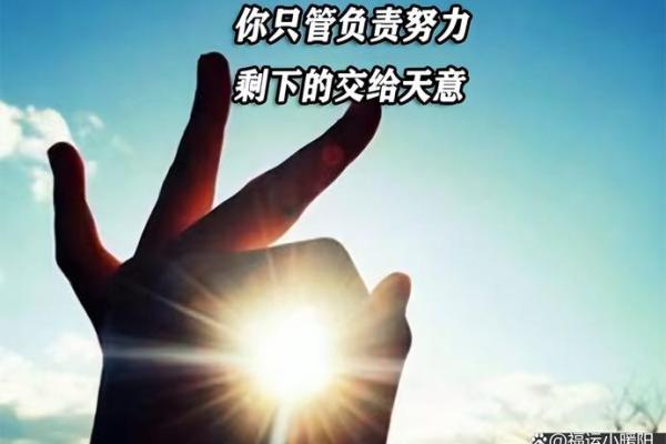 理解“乃命羿曰命”的文化深意与人生智慧