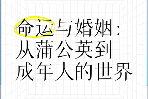 两世人转命运转，探讨命如何影响人生选择与归宿
