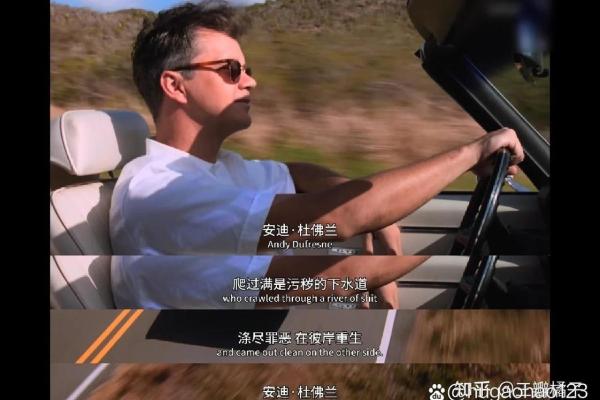 《命运的交错：救赎与生存的影片推荐》