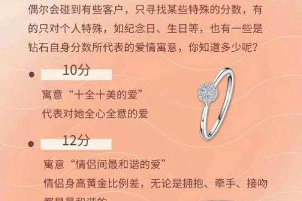 命里没有两个哥哥：探讨兄弟之情的独特含义与生活感悟