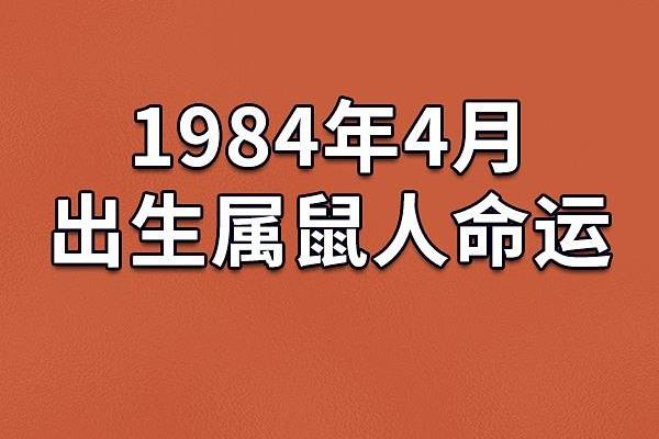 2024年出生的宝贝命运解析：星辰与命运的交织之旅