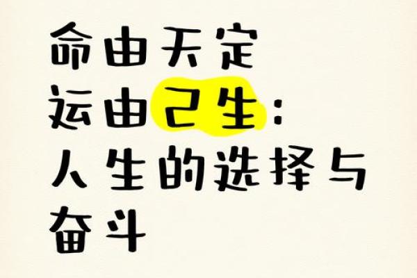 命里有我不油天，探寻人生中的命运与自由选择