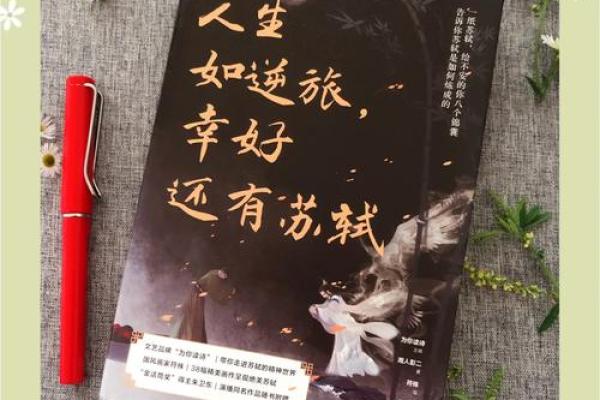 命书如舟失浆，人生何以为继？浅析人生中的困境与应对策略
