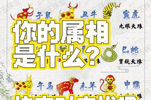 揭秘命理天马象征的生肖魅力与命运之路
