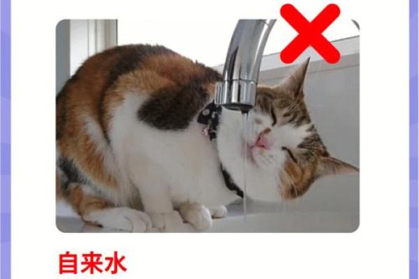 命里怕水的原因解析：你绝对想不到的深层次因素！