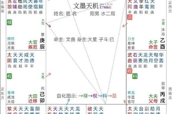 紫微入命：探索命理学中的福星之道与人生智慧