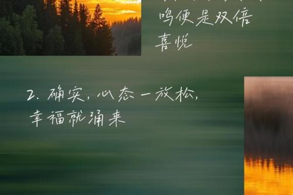 探索生活中的细微乐趣，发现不一样的美好时光