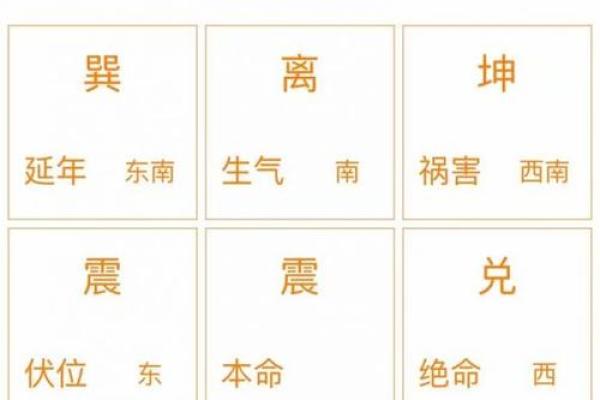坎宫东四命男：探秘其命理特征与人生运势