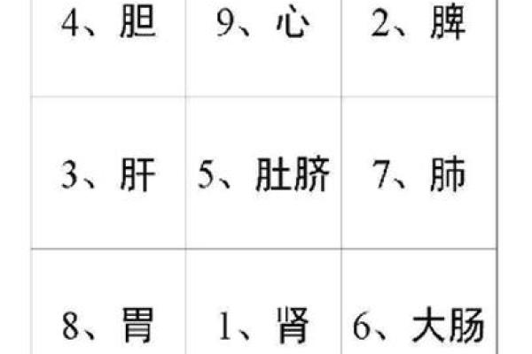 九一年出生的人命运解析：揭示潜藏的生命密码与方向
