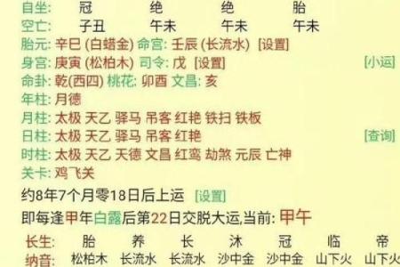 男命癸巳自合解析:运势与人生的精彩碰撞