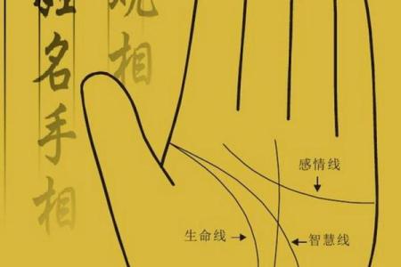 看手相算命:揭示生命密码的神秘艺术