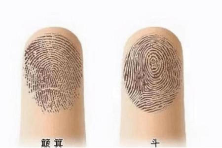 揭开男人手上九个簸箕的秘密:命运与性格的深度解析