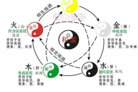 根据木命海中金命的风水楼层选择指南