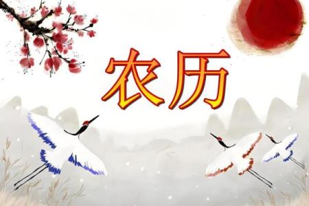 探寻岁月轮回：农历九十十一出生的命理解读与人生启示