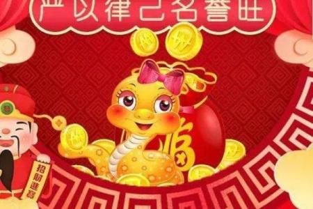 女命财旺名誉受损的深层解析与应对策略