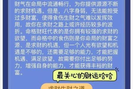 快速查自己命理,揭示人生潜能与福祉之秘!