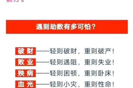 探秘农历5月11的命理奥秘与人生智慧