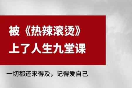 命里有我不油天,探寻人生中的命运与自由选择