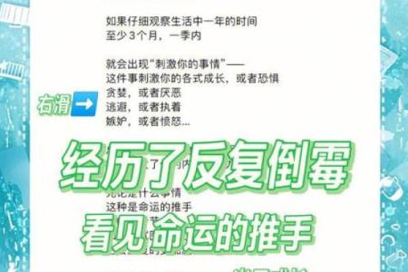 老公八个簸箕:揭开命运的神秘面纱