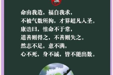 揭示男人命理中的“一个螺”的奥秘：从命运到性格解读