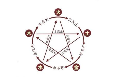 探秘命理：女命的五行分析与人生走向