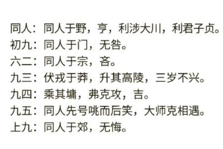 男命日支三合解析:命理中的和谐之道
