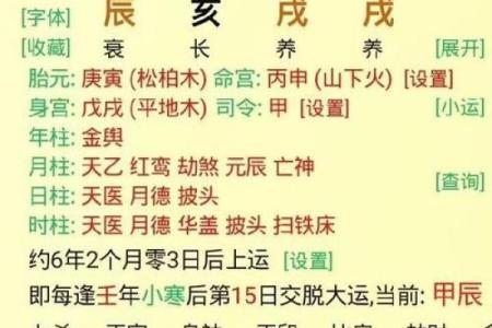 男命印劫大运生肖解析:神秘背后的命运密码