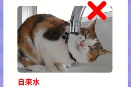 命里怕水的原因解析:你绝对想不到的深层次因素!